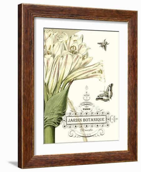 Jardin Botanique II-Vision Studio-Framed Art Print