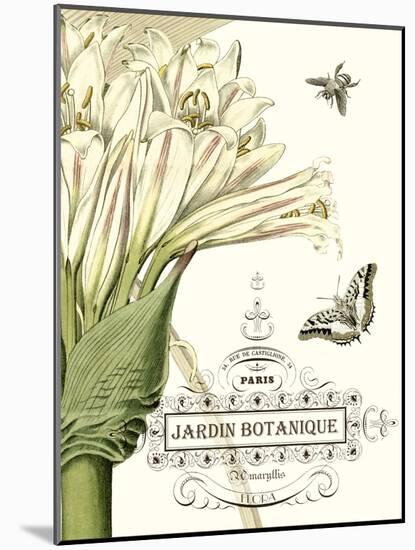 Jardin Botanique II-Vision Studio-Mounted Art Print