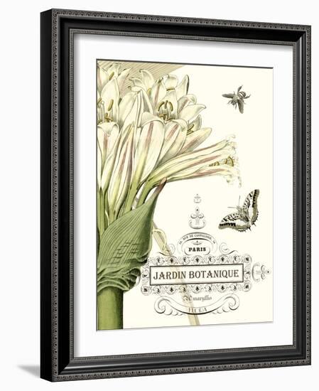 Jardin Botanique II-Vision Studio-Framed Art Print