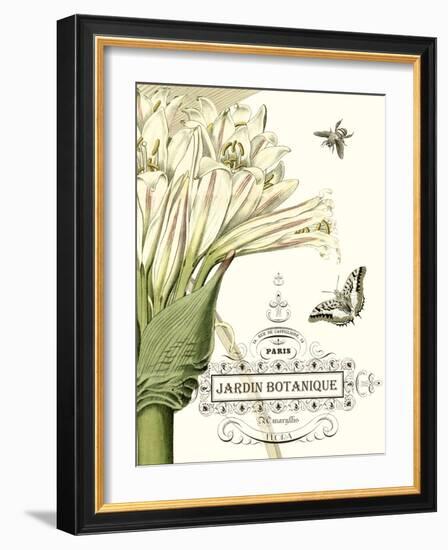 Jardin Botanique II-Vision Studio-Framed Art Print