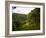 Jardin De Balata, Martinique, French Antilles, West Indies-Scott T. Smith-Framed Photographic Print