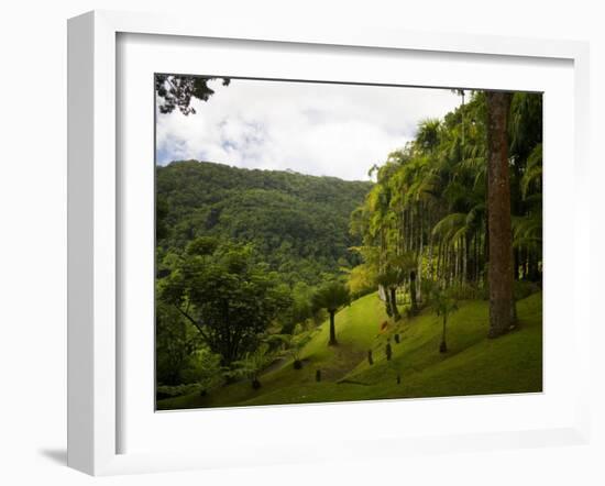 Jardin De Balata, Martinique, French Antilles, West Indies-Scott T. Smith-Framed Photographic Print