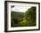 Jardin De Balata, Martinique, French Antilles, West Indies-Scott T. Smith-Framed Photographic Print