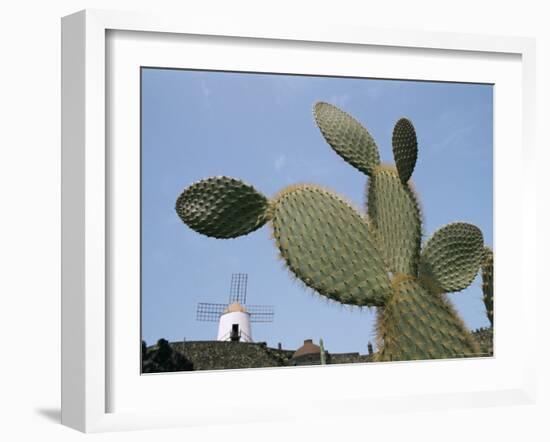 Jardin De Cactus Near Guatiza, Lanzarote, Canary Islands, Spain-Hans Peter Merten-Framed Photographic Print