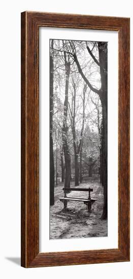 Jardin du Luxembourg Banc-Alan Blaustein-Framed Photographic Print