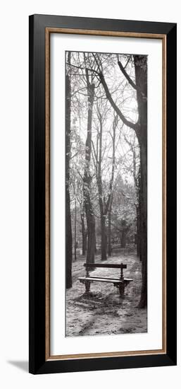 Jardin du Luxembourg Banc-Alan Blaustein-Framed Photographic Print