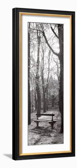 Jardin du Luxembourg Banc-Alan Blaustein-Framed Photographic Print