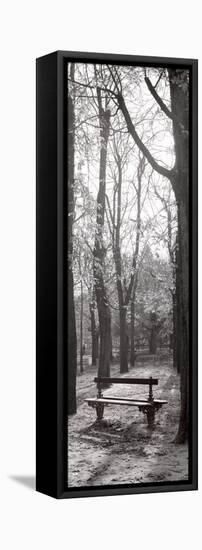 Jardin du Luxembourg Banc-Alan Blaustein-Framed Premier Image Canvas