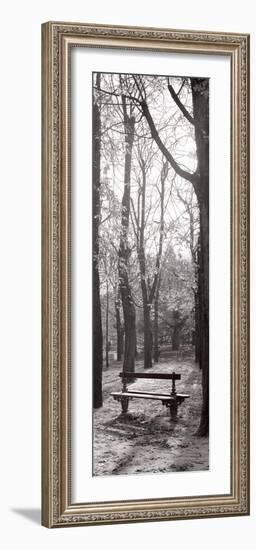 Jardin du Luxembourg Banc-Alan Blaustein-Framed Photographic Print