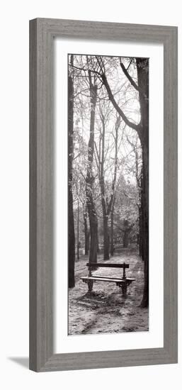 Jardin du Luxembourg Banc-Alan Blaustein-Framed Photographic Print