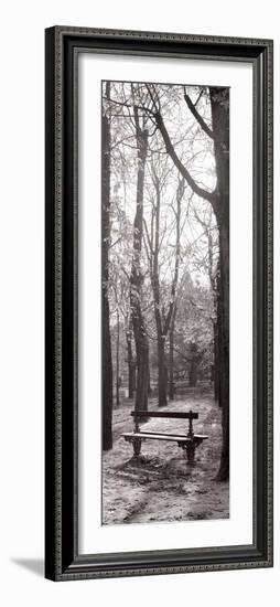 Jardin du Luxembourg Banc-Alan Blaustein-Framed Photographic Print