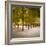 Jardin Du Luxembourg, Latin Quarter, Paris, France-Jon Arnold-Framed Photographic Print