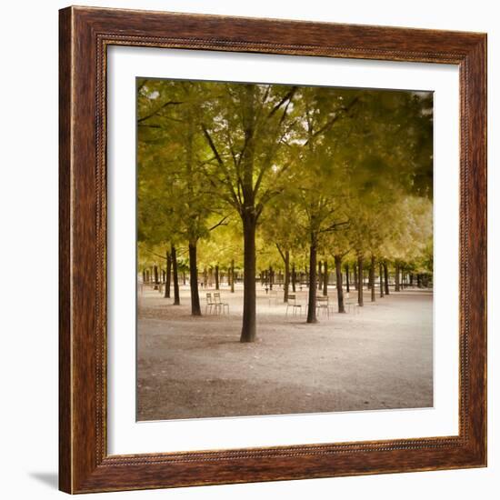 Jardin Du Luxembourg, Latin Quarter, Paris, France-Jon Arnold-Framed Photographic Print