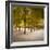 Jardin Du Luxembourg, Latin Quarter, Paris, France-Jon Arnold-Framed Photographic Print