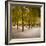 Jardin Du Luxembourg, Latin Quarter, Paris, France-Jon Arnold-Framed Photographic Print