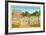 Jardin Du Luxembourg-Fanch Ledan-Framed Limited Edition