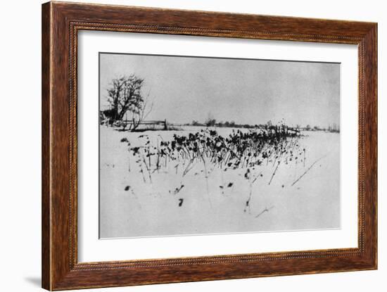 Jardin enneigé "Marsh Leaves"-Peter Henry Emerson-Framed Giclee Print