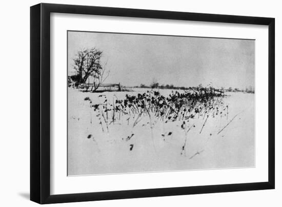 Jardin enneigé "Marsh Leaves"-Peter Henry Emerson-Framed Giclee Print