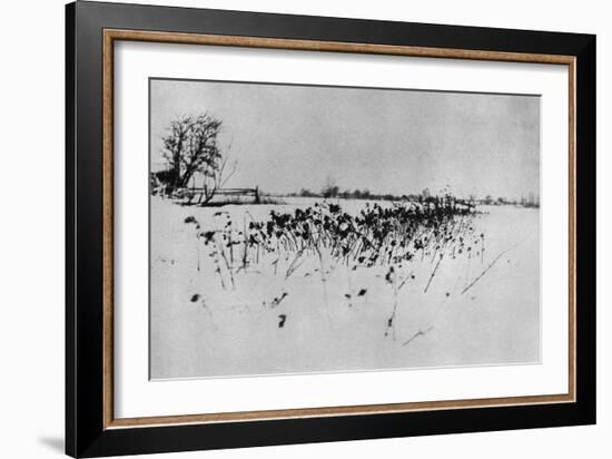 Jardin enneigé "Marsh Leaves"-Peter Henry Emerson-Framed Giclee Print