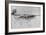 Jardin enneigé "Marsh Leaves"-Peter Henry Emerson-Framed Giclee Print