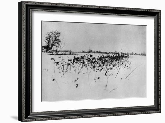 Jardin enneigé "Marsh Leaves"-Peter Henry Emerson-Framed Giclee Print