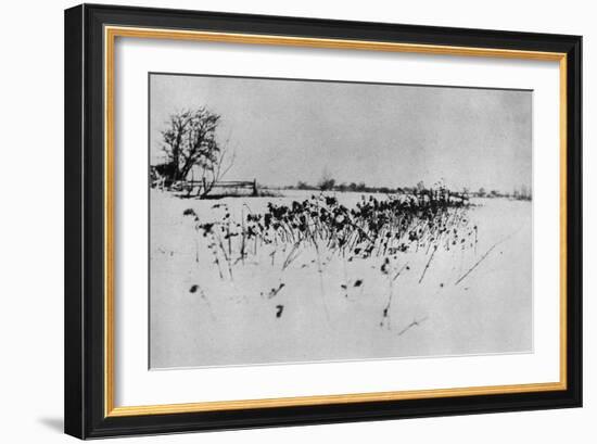 Jardin enneigé "Marsh Leaves"-Peter Henry Emerson-Framed Giclee Print