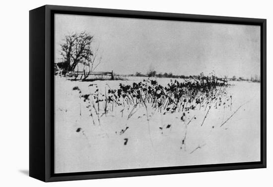 Jardin enneigé "Marsh Leaves"-Peter Henry Emerson-Framed Premier Image Canvas