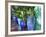 Jardin Majorelle and Museum of Islamic Art, Villa Pottery, Marrakech, Morocco-Walter Bibikow-Framed Photographic Print