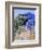 Jardin Majorelle, Marrakech (Marrakesh), Morocco, North Africa, Africa-Bruno Morandi-Framed Photographic Print