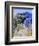 Jardin Majorelle, Marrakech (Marrakesh), Morocco, North Africa, Africa-Bruno Morandi-Framed Photographic Print