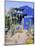 Jardin Majorelle, Marrakech (Marrakesh), Morocco, North Africa, Africa-Bruno Morandi-Mounted Photographic Print