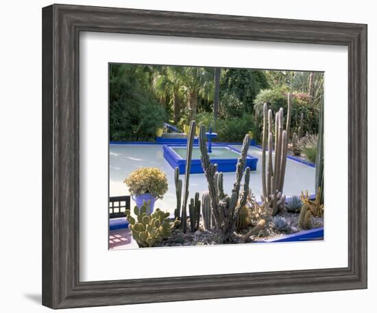 Jardin Majorelle, Marrakech (Marrakesh), Morocco, North Africa, Africa-Bruno Morandi-Framed Photographic Print