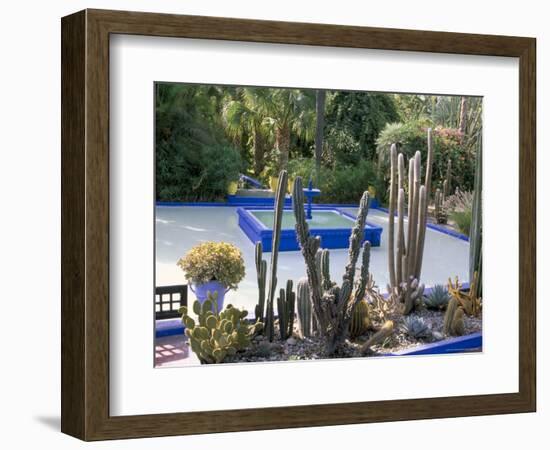 Jardin Majorelle, Marrakech (Marrakesh), Morocco, North Africa, Africa-Bruno Morandi-Framed Photographic Print