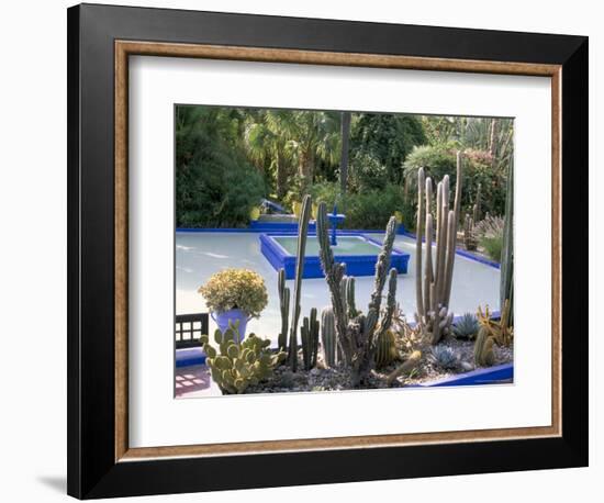 Jardin Majorelle, Marrakech (Marrakesh), Morocco, North Africa, Africa-Bruno Morandi-Framed Photographic Print