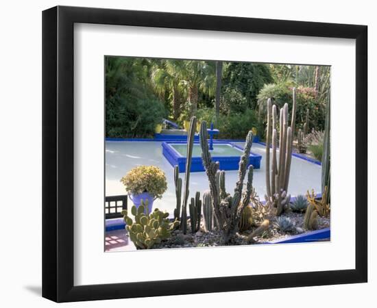 Jardin Majorelle, Marrakech (Marrakesh), Morocco, North Africa, Africa-Bruno Morandi-Framed Photographic Print