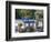 Jardin Majorelle, Marrakech (Marrakesh), Morocco, North Africa, Africa-Bruno Morandi-Framed Photographic Print