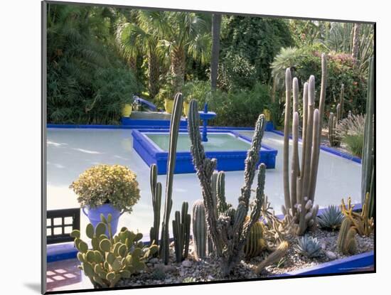 Jardin Majorelle, Marrakech (Marrakesh), Morocco, North Africa, Africa-Bruno Morandi-Mounted Photographic Print