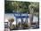 Jardin Majorelle, Marrakech (Marrakesh), Morocco, North Africa, Africa-Bruno Morandi-Mounted Photographic Print