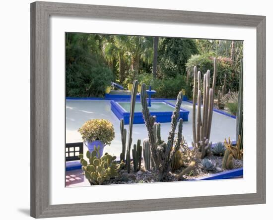 Jardin Majorelle, Marrakech (Marrakesh), Morocco, North Africa, Africa-Bruno Morandi-Framed Photographic Print