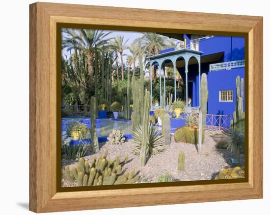 Jardin Majorelle, Marrakech (Marrakesh), Morocco, North Africa, Africa-Bruno Morandi-Framed Premier Image Canvas