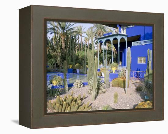 Jardin Majorelle, Marrakech (Marrakesh), Morocco, North Africa, Africa-Bruno Morandi-Framed Premier Image Canvas