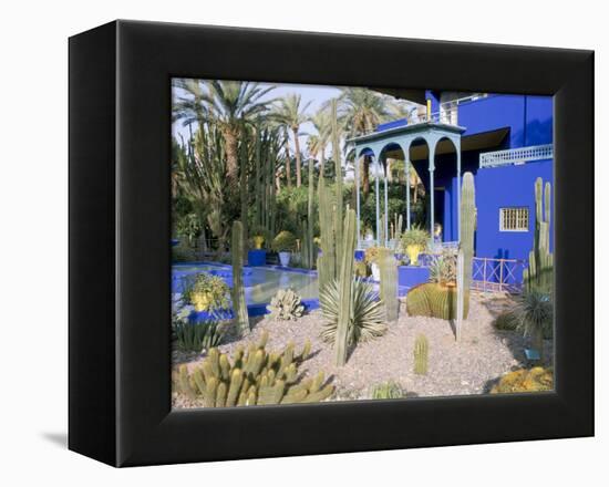 Jardin Majorelle, Marrakech (Marrakesh), Morocco, North Africa, Africa-Bruno Morandi-Framed Premier Image Canvas