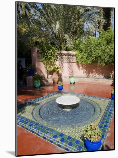 Jardin Majorelle, Marrakech, Morocco, North Africa, Africa-Ethel Davies-Mounted Photographic Print