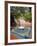 Jardin Majorelle, Marrakech, Morocco, North Africa, Africa-Ethel Davies-Framed Photographic Print