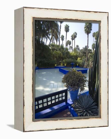 Jardin Majorelle, Marrakech, Morocco, North Africa, Africa-Ethel Davies-Framed Premier Image Canvas