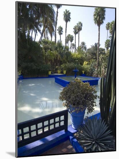 Jardin Majorelle, Marrakech, Morocco, North Africa, Africa-Ethel Davies-Mounted Photographic Print