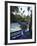 Jardin Majorelle, Marrakech, Morocco, North Africa, Africa-Ethel Davies-Framed Photographic Print