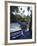 Jardin Majorelle, Marrakech, Morocco, North Africa, Africa-Ethel Davies-Framed Photographic Print