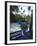 Jardin Majorelle, Marrakech, Morocco, North Africa, Africa-Ethel Davies-Framed Photographic Print