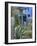 Jardin Majorelle, Marrakech, Morocco, North Africa, Africa-Nico Tondini-Framed Photographic Print